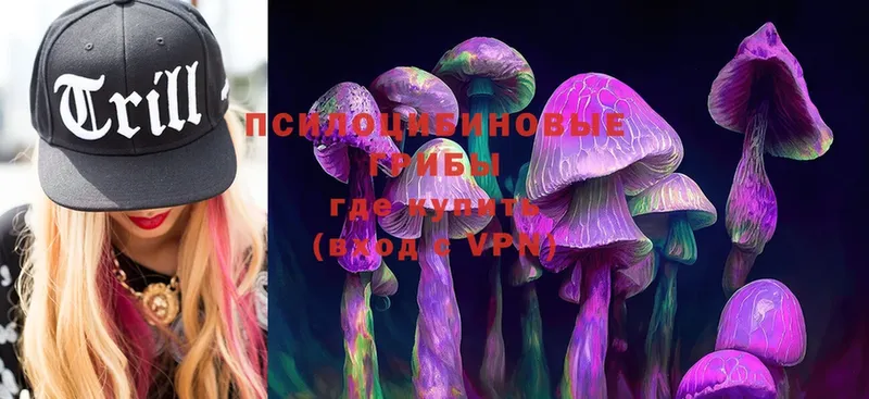 Псилоцибиновые грибы Magic Shrooms  Александров 